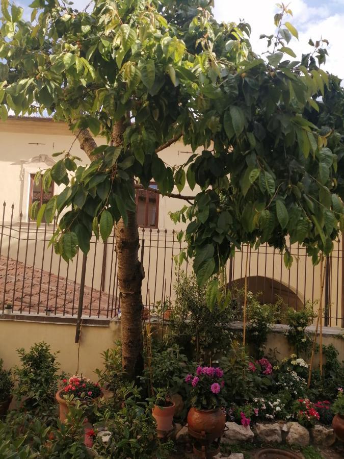 LʼAquila B&B Bone Novelle Dimora Storica Palazzo Zuzi المظهر الخارجي الصورة